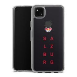 Bumper Case transparent single