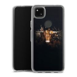 Bumper Case transparent single