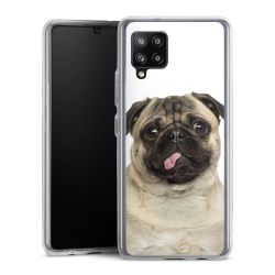 Bumper Case transparent