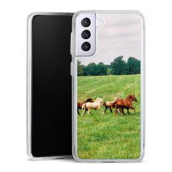 Bumper Case transparent single