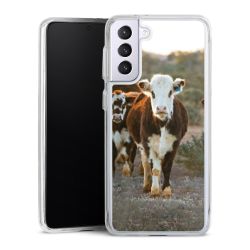 Bumper Case transparent single