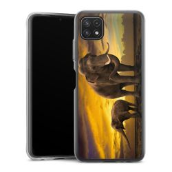 Bumper Case transparent single