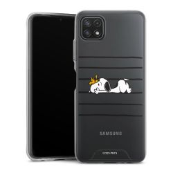 Bumper Case transparent single