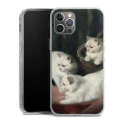 Silikon Glitter Case transparent-silber