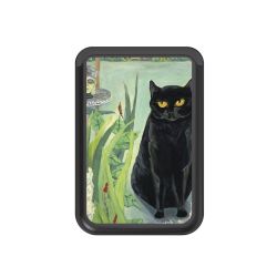 Kartenhalter mit MagSafe schwarz