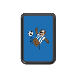 Kartenhalter mit MagSafe schwarz