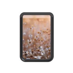 Kartenhalter mit MagSafe schwarz