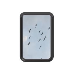 Kartenhalter mit MagSafe schwarz