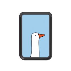 Kartenhalter mit MagSafe schwarz