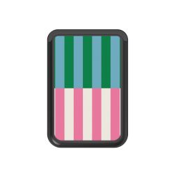 Kartenhalter mit MagSafe schwarz