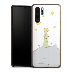 La Petite Planète 1