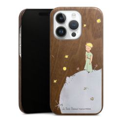 Holz Slim Case Walnuss