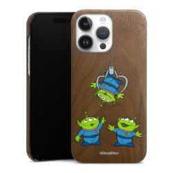 Holz Slim Case Walnuss