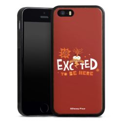 Holz Hard Case Walnuss