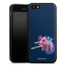 Holz Hard Case Walnuss