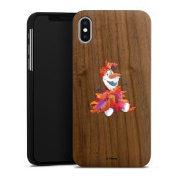 Holz Hard Case Walnuss