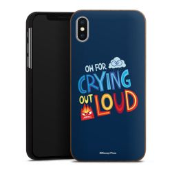 Holz Hard Case Walnuss