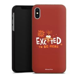 Holz Hard Case Walnuss