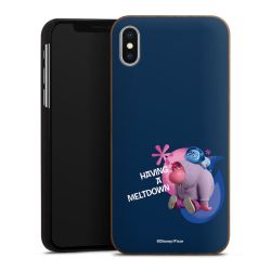 Holz Hard Case Walnuss