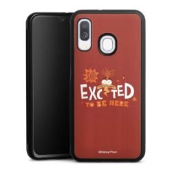 Holz Hard Case Walnuss