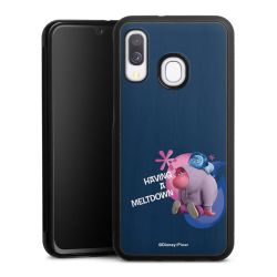 Holz Hard Case Walnuss