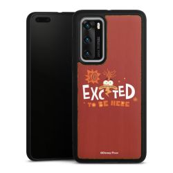 Holz Hard Case Walnuss