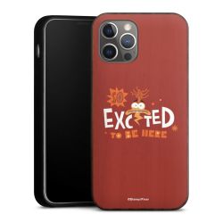 Holz Hard Case Walnuss