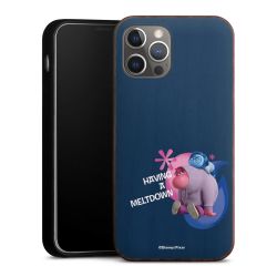 Holz Hard Case Walnuss