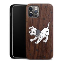 Holz Hard Case Walnuss