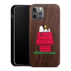 Holz Hard Case Walnuss