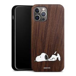 Holz Hard Case Walnuss