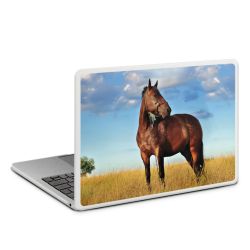 MacBook Case transparent matt