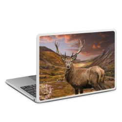 MacBook Case transparent matt