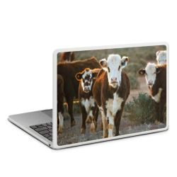 MacBook Case transparent matt