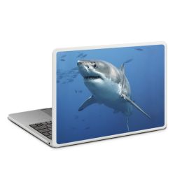 MacBook Case transparent matt