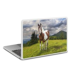 MacBook Case transparent matt