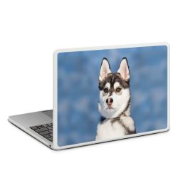MacBook Case transparent matt