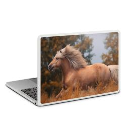 MacBook Case transparent matt