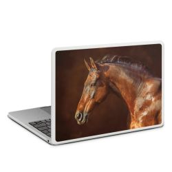 MacBook Case transparent matt