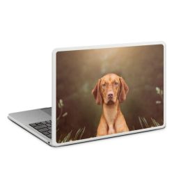 MacBook Case transparent matt