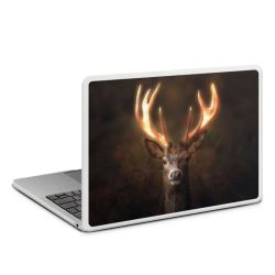 MacBook Case transparent matt