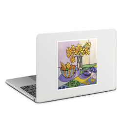 MacBook Case transparent matt