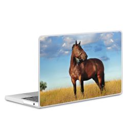 MacBook Case transparent matt