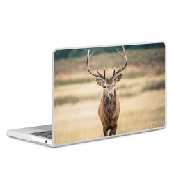 MacBook Case transparent matt