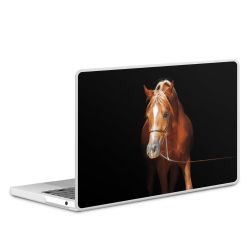 MacBook Case transparent matt