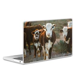 MacBook Case transparent matt