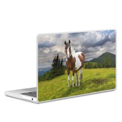 MacBook Case transparent matt