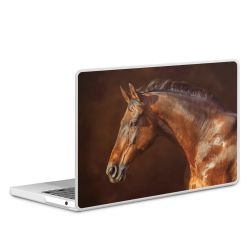 MacBook Case transparent matt