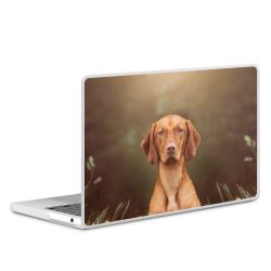 MacBook Case transparent matt