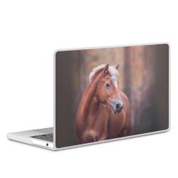 MacBook Case transparent matt